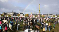 Ballinasloe October Fair