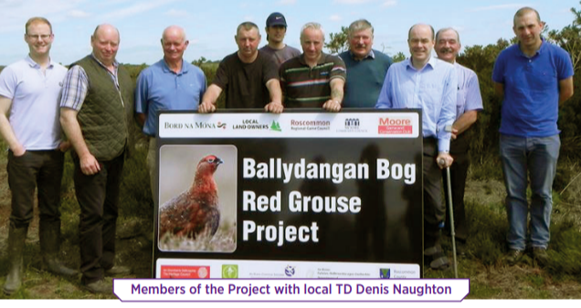 Red Grouse Project Ballydangan
