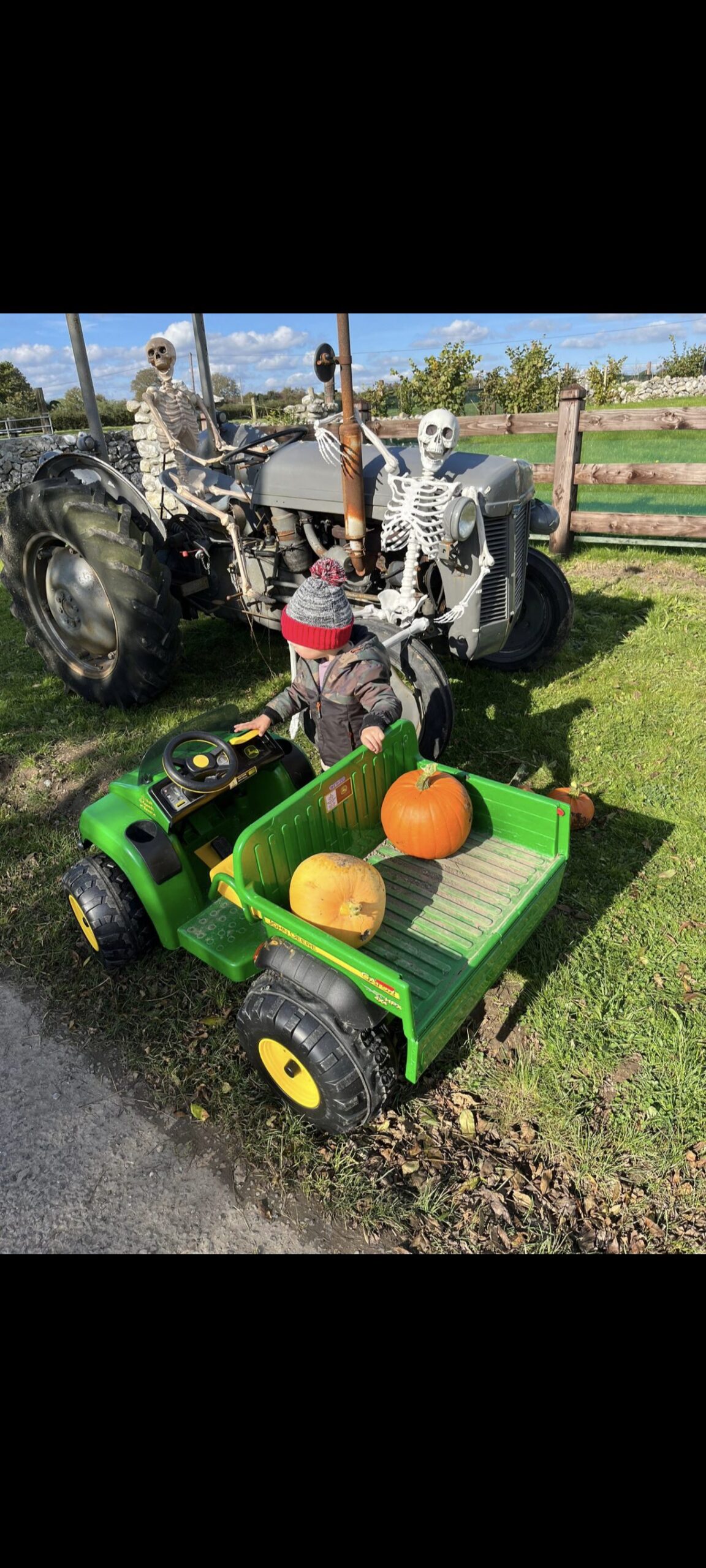 Visit Pumpkin Patch Ballinasloe